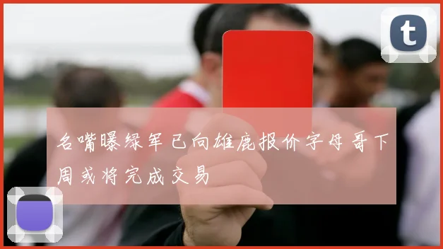 名嘴曝绿军已向雄鹿报价字母哥下周或将完成交易